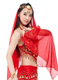 Conjunto de disfraz de danza del vientre de 5 piezas de la India